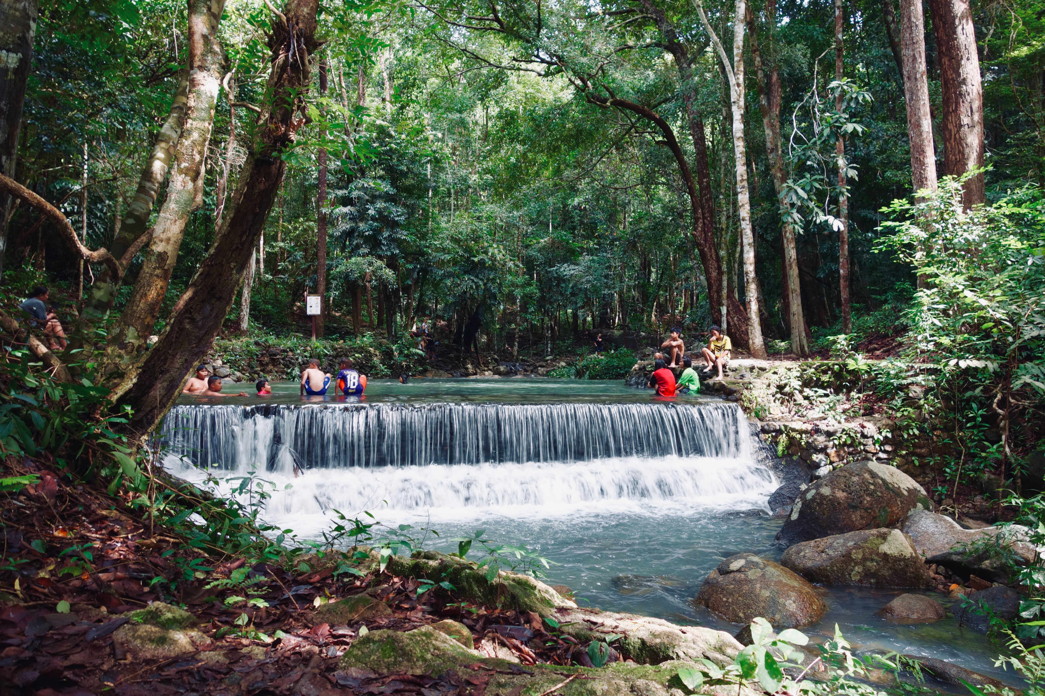 thailand jungle